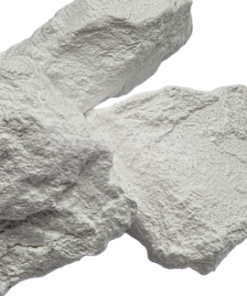 Buy NB-DMT Powder (Oxalaat) Online