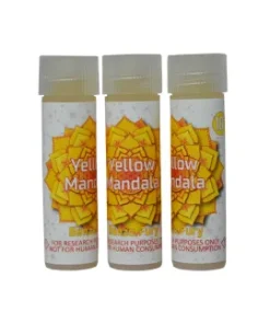 Buy Yellow Mandala Online